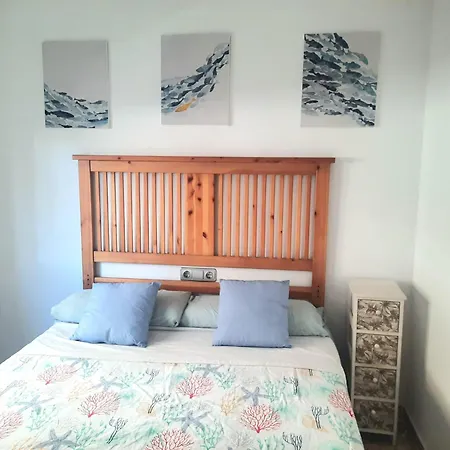 Eucalytus I Σαλού